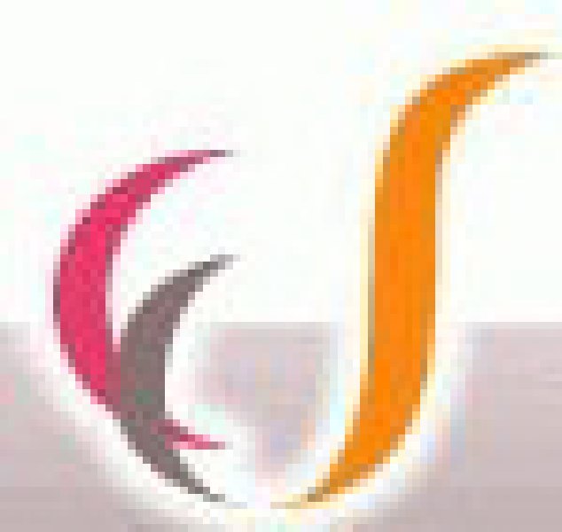 2010第三屆中國(guó)國(guó)際羊絨交易會(huì)